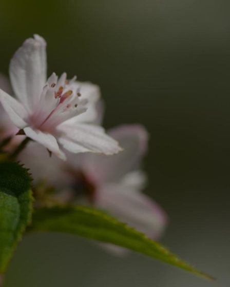 Tendencias de primavera que puedes adaptar sin cambiar todo tu armario