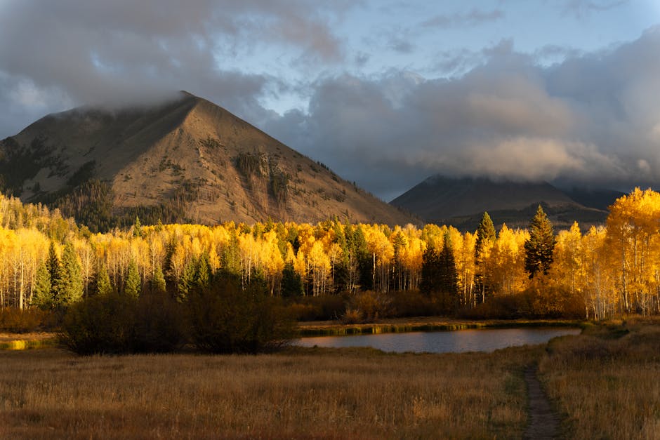 Beautiful autumn scenery with golden aspens and mountains in Utah's La Sal Mountains.