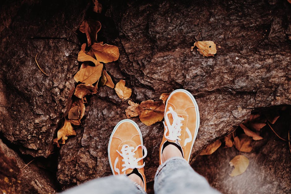 Stylish sneakers on dried autumn leaves and rock, captured at a high angle.