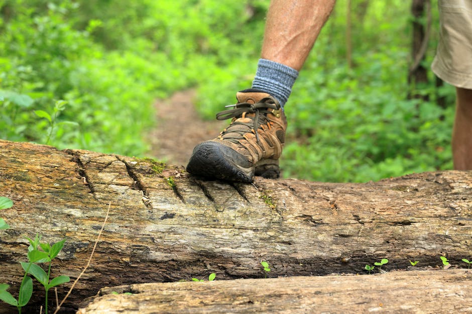 A hiker's boot stepping over a fallen log on a lush forest trail, representing outdoor adventure.